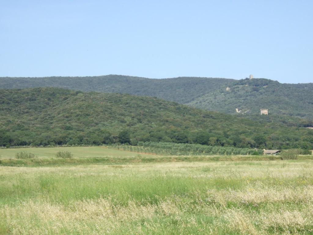 Agriturismo Tattarini Villa Fonteblanda Luaran gambar